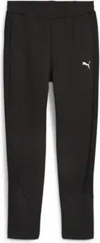 Puma Hosen 67788001