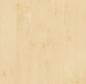 d-c-fix Wandfolie d-c-fix Selbstklebefolie Birke 45
