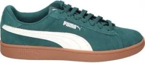 Puma  Schuhe 390984-27