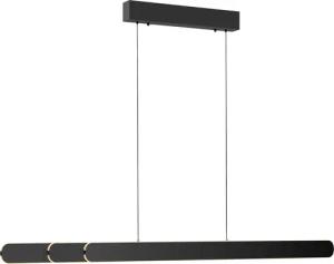Paul Neuhaus LED-Pendelleuchte »Adriana Round« - 160x5,5x60cm - schwarz - Eisen / Polystyrol