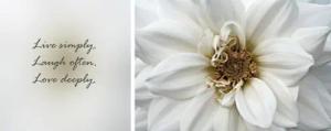 queence Leinwandbild "Live, Laugh & Love", Blumen-Blumenbilder-Kunst-Modern-Spa-Spa Bilder-Sprüche-Sprüche & Texte-Schriftzug-Schriftzüge, (Set), Premium-Leinwandstoff, Handarbeit aus Deutschland, Spruch, 2er Set
