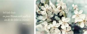 queence Leinwandbild "Leben geschenkt", Blumen-Blumenbilder-Kunst-Modern-Spa-Spa Bilder-Sprüche-Sprüche & Texte-Schriftzug-Schriftzüge, (Set), Premium-Leinwandstoff, Handarbeit aus Deutschland, Zitat, 2er Set