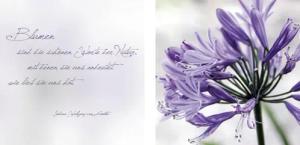 queence Leinwandbild "Worte der Natur", Blätter-Blätterbilder-Kunst-Modern-Spa-Spa Bilder-Sprüche-Sprüche & Texte-Schriftzug-Schriftzüge, (Set), Premium-Leinwandstoff, Handarbeit aus Deutschland, Zitat, 2er Set