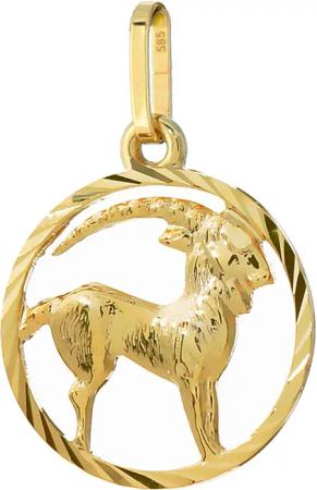 NKlaus Kettenanhänger Steinbock Sternzeichen 585 Gelbgold