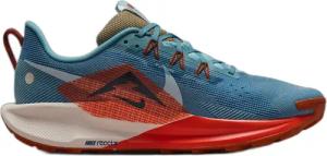 Trail-Schuhe Nike Pegasus Trail 5