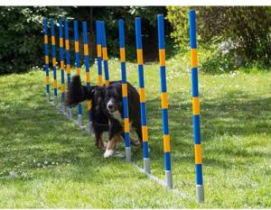 Procyon Agility-Slalom PROCYON Dog Agility Profi