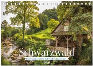 CALVENDO Wandkalender Schwarzwald (Tischkalender 2026 DIN