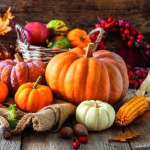 ti-flair Papierserviette 20 Servietten Thanksgiving Still