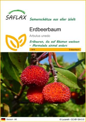 SAFLAX Blumensamen SAFLAX - Samen -