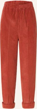 American Vintage Cordhose PADOW