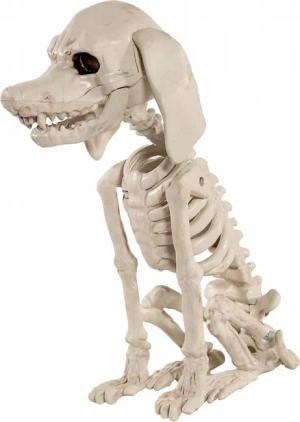 Horror-Shop Dekoobjekt Pudel Hundeskelett als Halloween