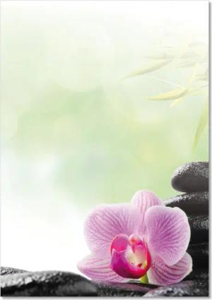 LYSCO Briefpapier Motivpapier Wellness DIN A4,