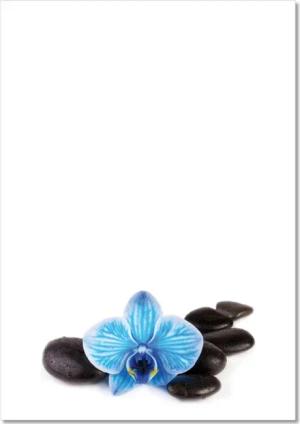 LYSCO Briefpapier Motivpapier Wellness DIN A4,