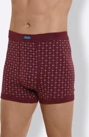 Witt Schlüpfer Hose kurz (2-St)