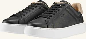 AIGNER sneaker WILLIAM 10A