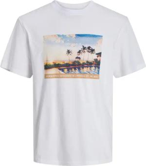 Jack & Jones Kurzarmshirt JORTAMPA GRAPHIC