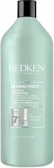 Redken Shampoo Amino Mint Shampoo