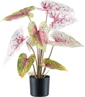 Creativ green Kunstblume "Caladium", mit außergewöhnlicher Farbgebung