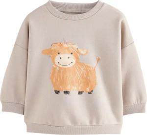 Next Sweater Sweatshirt mit Rundhalsausschnitt und