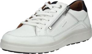 Josef Seibel Sneaker "Josef Seibel Sneaker Leder"
