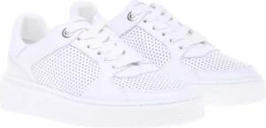 Baldinini Low-Top Sneaker - SNEAKER BALDININI - Gr. 38 (EU) - in Weiß - für Damen