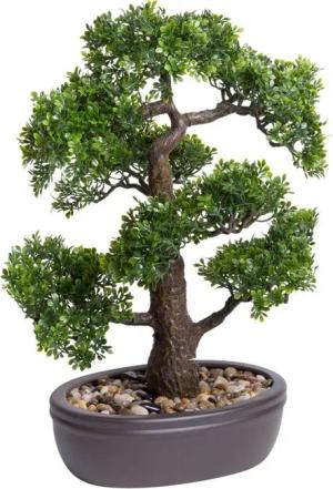 Kunstbonsai Ficus Bonsai Ficus, Botanic-Haus, Höhe