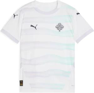 PUMA Trainingsshirt "Island Team 2025 Auswärtstrikot Jugendliche"