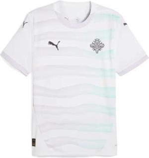 PUMA Trainingsshirt "Island Team 2025 Auswärtstrikot Herren"