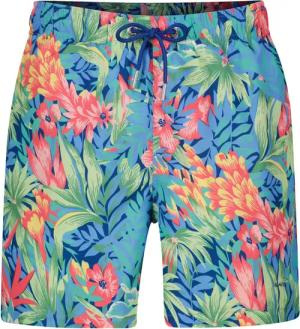 Gant Badeshorts Herren Badeshorts mit Print