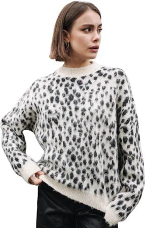 Pullover Damen Freeman T Porter Phelix