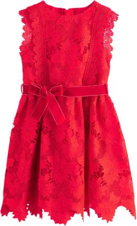 Next Partykleid Spitzenkleid für besondere Anlässe