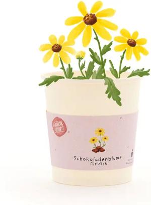 Die Stadtgärtner Anzuchttopf Schokoblumen-Anzuchtset als besonderes