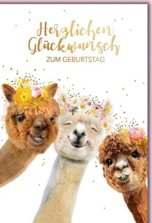 Verlag Dominique Grußkarten Geburtstag - Glückwunschkarte