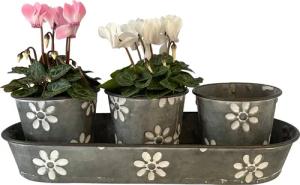 Online-Fuchs Blumentopf 3er Set süße Blumentöpfe