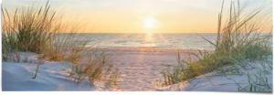 Reinders Poster "Golden Hour"