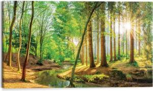 Reinders Deco-Panel "Sonnenschein im Wald", Hobbyraum - Grün - MDF - Wald - 118x70 cm