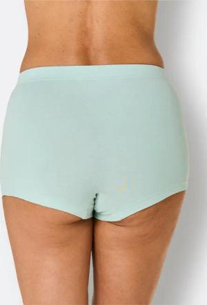Witt Slip Panty (3-St)