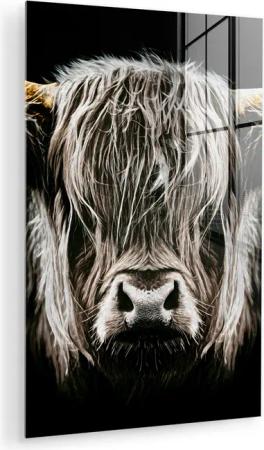 MuchoWow Acrylglasbild Schottischer Highlander - Gold