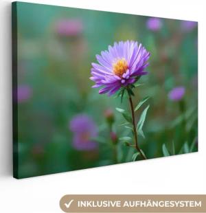 OneMillionCanvasses® Leinwandbild Aster - Lila -