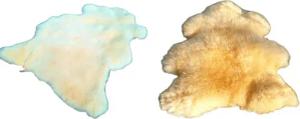 Provellus Fellteppich Echt medizinisches Merino Lammfell
