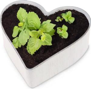 matches21 HOME & HOBBY Blumentopf Herz