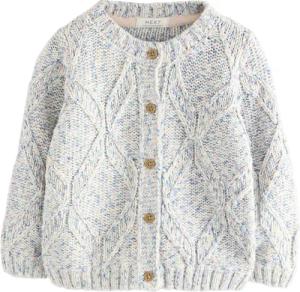 Next Strickjacke Strickjacke mit Zopfmuster (1-tlg)