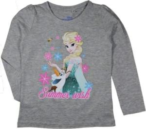 Disney Frozen Langarmshirt Frozen Die Eiskönigin