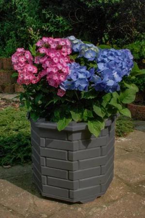 DSH DEKO SHOP HANNUSCH Blumenkasten Bk6r