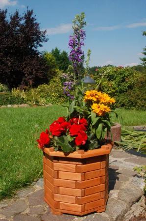 DSH DEKO SHOP HANNUSCH Blumenkasten Bk6r