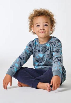 Schlafanzug lang Frottee Bündchen Dinos mineral - Kids Nightwear 116