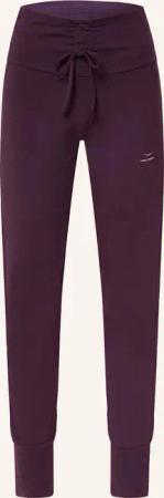 VENICE BEACH Sweatpants VB UMA