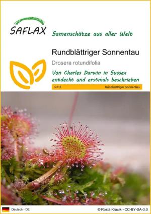 SAFLAX Blumensamen SAFLAX - Samen -
