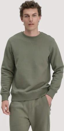 hessnatur Herren Sweatshirt Regular aus Bio-Baumwolle - grün - Größe 48