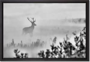 Pixxprint Leinwandbild Hirsch im Nebel, Wanddekoration